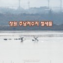 주남저수지 이미지