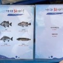바다사랑 | 홍대 횟집 바다회사랑 2호점 후기