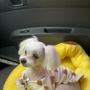 냥이멍이세상 이미지