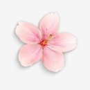 매화농업협동조합 이미지