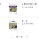 애견이야기 이미지