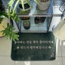 땡삼 이미지