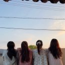 스테이오온