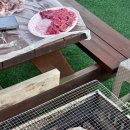 봉평별빛 이미지