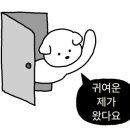 베러먼데이대전