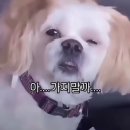 없음 이미지