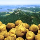 팔봉산영농조합법인 이미지