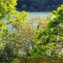 우계저수지 이미지