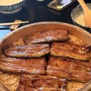 New 덴덴타운 | 오사카 4박5일 후기 _ 4~5일 째