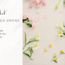 노스노비 IT동아