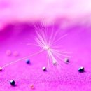 물들어간다는 것은 이미지