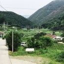 품속농장 네이버블로그