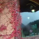 산너머남촌 이미지