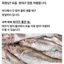 요즘 생대구 엄청 저렴합니다 이미지