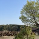 당진참숯가마