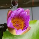 티나하우스 이미지