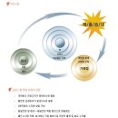 금강산왕족발