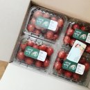엔젤빈팜