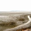 바다부동산공인중개사무소 이미지