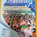 한진체육관 | #고창쌀#언박싱#고창고인돌마라톤대회준비