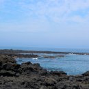 제주 올레 4코스(표선 ~ 남원) 트레킹과 바다체험을 하면서 멋진 추억을 만들다(17.6.23(금)).. 이미지