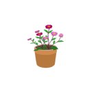 꽃과함께하는힐링원예 이미지