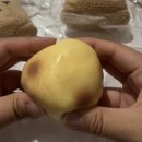 오늘도사시미동산점 | 사도사도 부족한 샤오홍슈 말랑이 2번째 언박싱!!