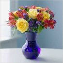 안의꽃사랑 이미지