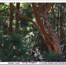 아라공원 이미지