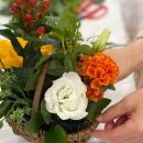 강릉원예사 이미지