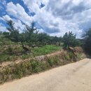 소로3-282 이미지