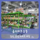올리퍼브유통