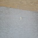 삼봉환경 이미지