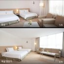 뉴비앤비호텔 이미지