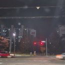 스파밸리골프클럽 | [주간일기 챌린지] 11월2주차