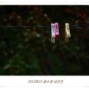 내린천민박 이미지