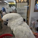 건강힐링카페 이미지