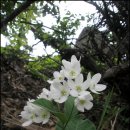 경일목장 이미지