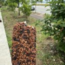 초남공단1길 이미지