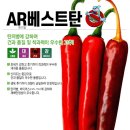 진양원예사 | 2024년 흥농 고추씨앗 소개 - AR베스트탄 고추