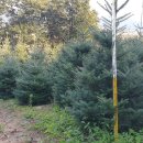 창석농장 이미지