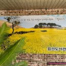 표선도서관 주차장 이미지