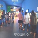 다누리센터 아쿠아리움 이미지