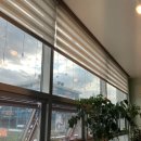 햇살품은 파스타 | [미사/맛집] 햇살품은 파스타🍝