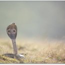 요촌1어린이공원 이미지