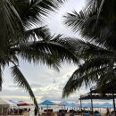 로터스테마투어 | 하나투어 다낭 패키지 솔직 후기 ✈️ 일정·장점·단점 총정리