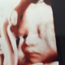 엄조산원 이미지