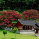 이색선생 묘일원 이미지