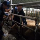 동산가축약품 이미지