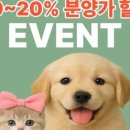 컴투펫 강아지분양 고양이분양 인천본점 이미지